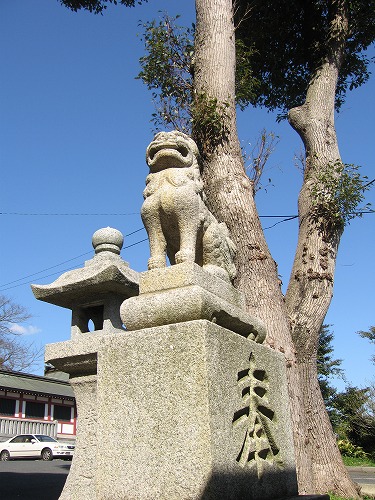 篠崎八幡宮2