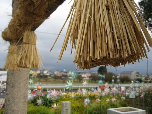 荒祭神社16