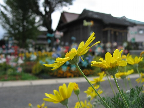 荒祭神社21