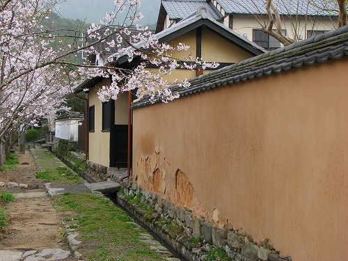 秋月8