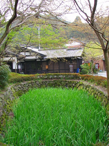 秋月16