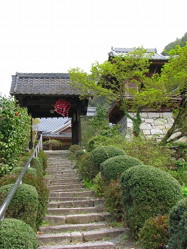 秋月18