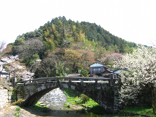 眼鏡橋8