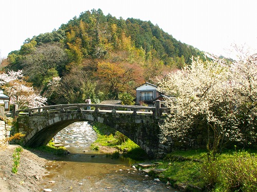 眼鏡橋14