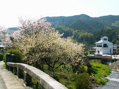 眼鏡橋18
