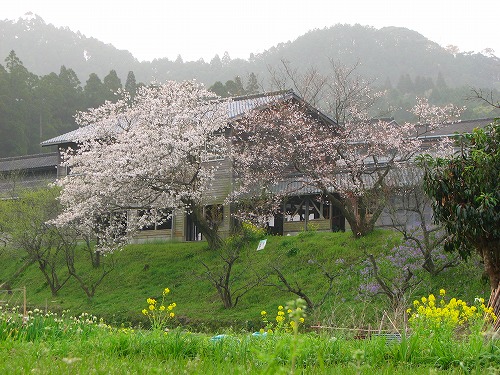 杉の馬場22