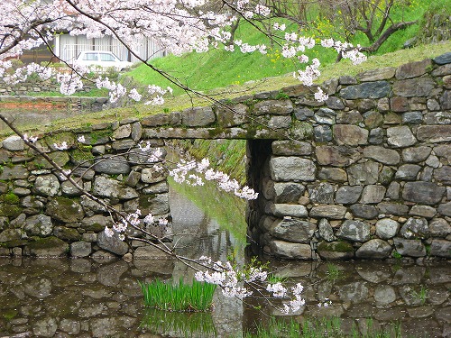 瓦坂8