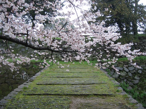 瓦坂20
