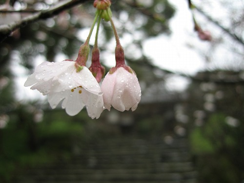 長屋門10