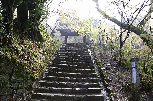 黒門8