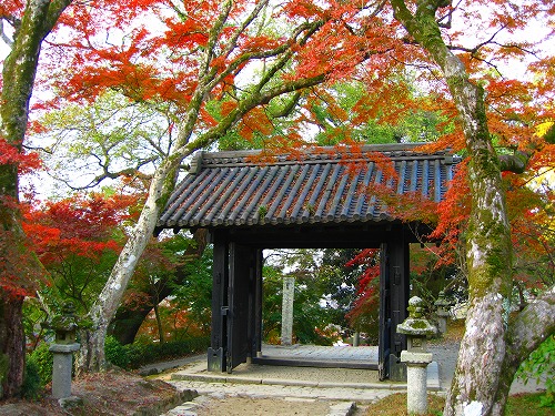 黒門9