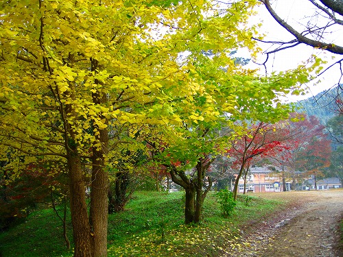 梅園公園8