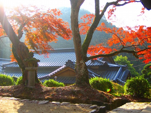 梅園公園9