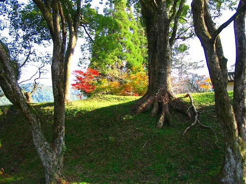 梅園公園13
