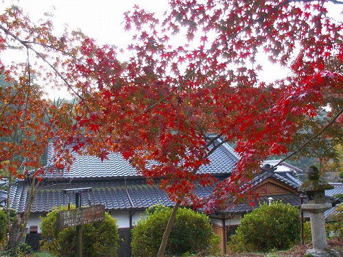 梅園公園15