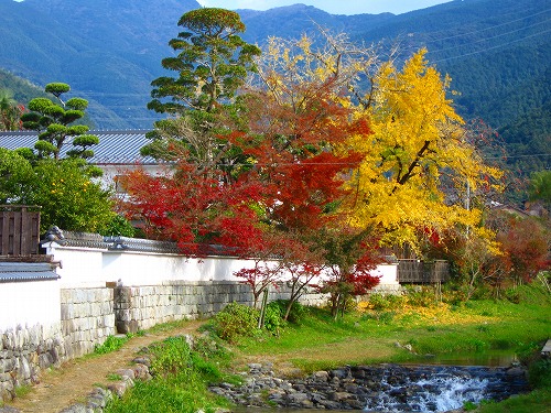 野鳥川6