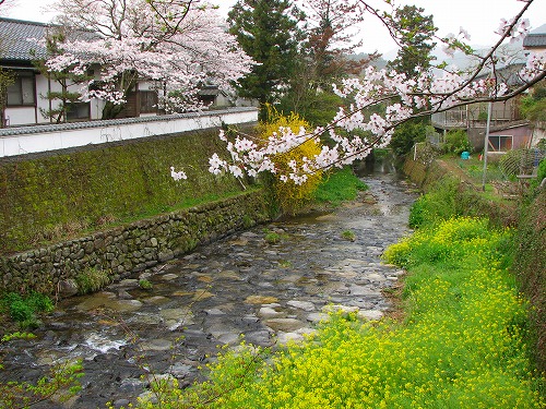 野鳥川7