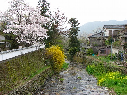 野鳥川10