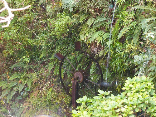 野鳥川12