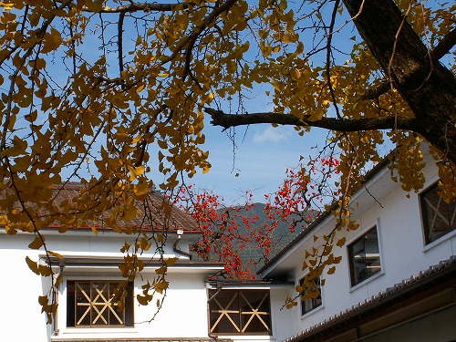 野鳥川14