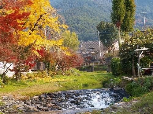 野鳥川20