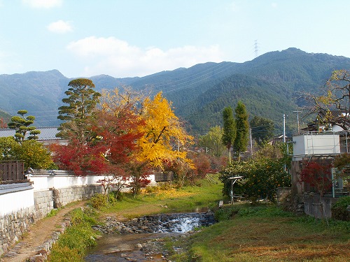 野鳥川21