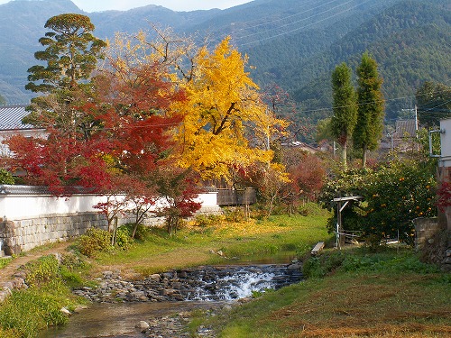 野鳥川22