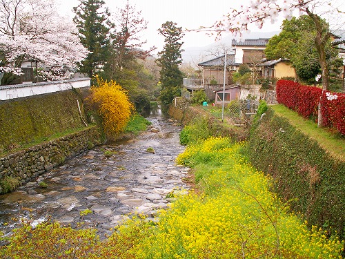 野鳥川23
