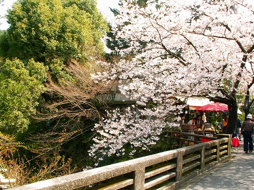 野鳥川26