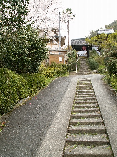 長生寺4