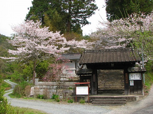 大涼寺1