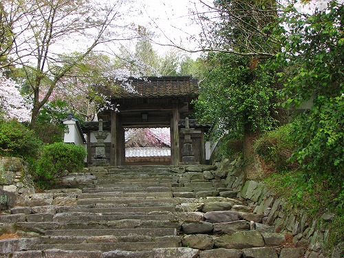 大涼寺4