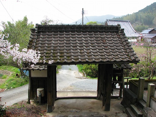 大涼寺7