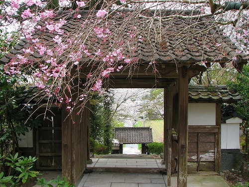 大涼寺10