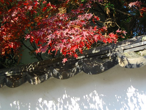 西念寺8