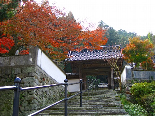 西念寺1