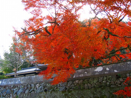 西念寺2