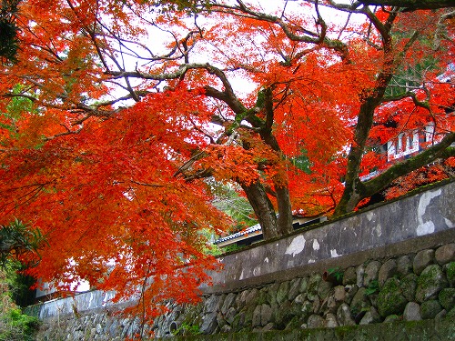 西念寺7
