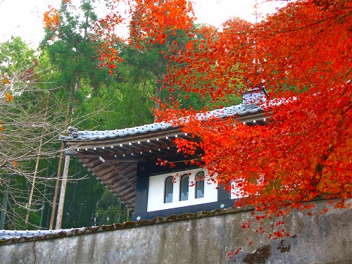 西念寺5