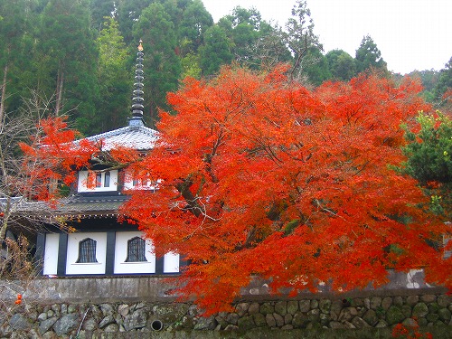 西念寺9