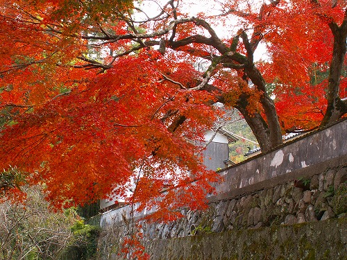 西念寺11