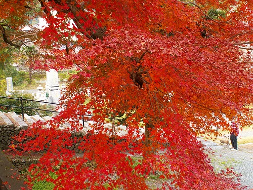 西念寺14