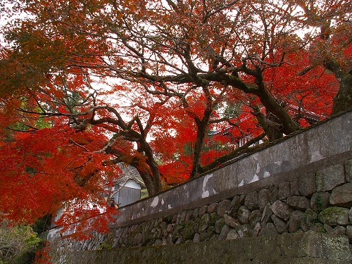 西念寺16