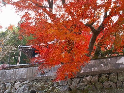 西念寺17
