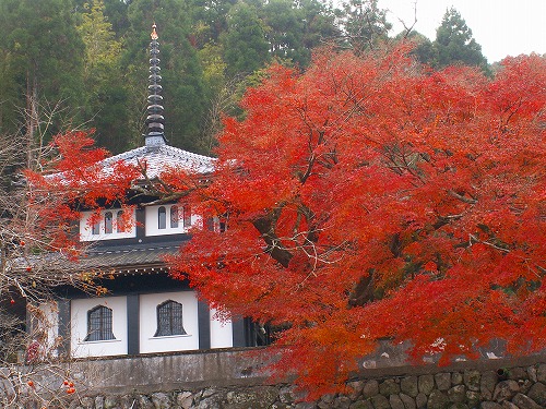 西念寺18