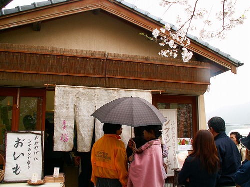 菓秀桜2
