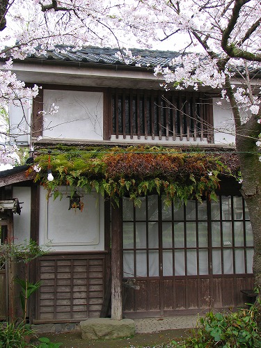 黒門茶屋2