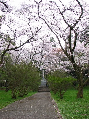 士族坂6