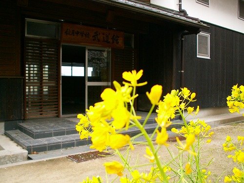 武道館2