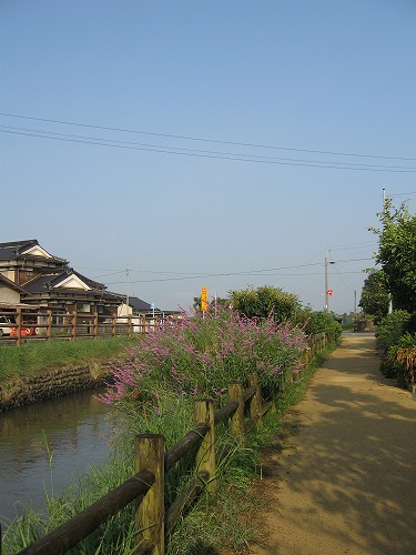堀川用水8